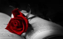book_with_red_rose